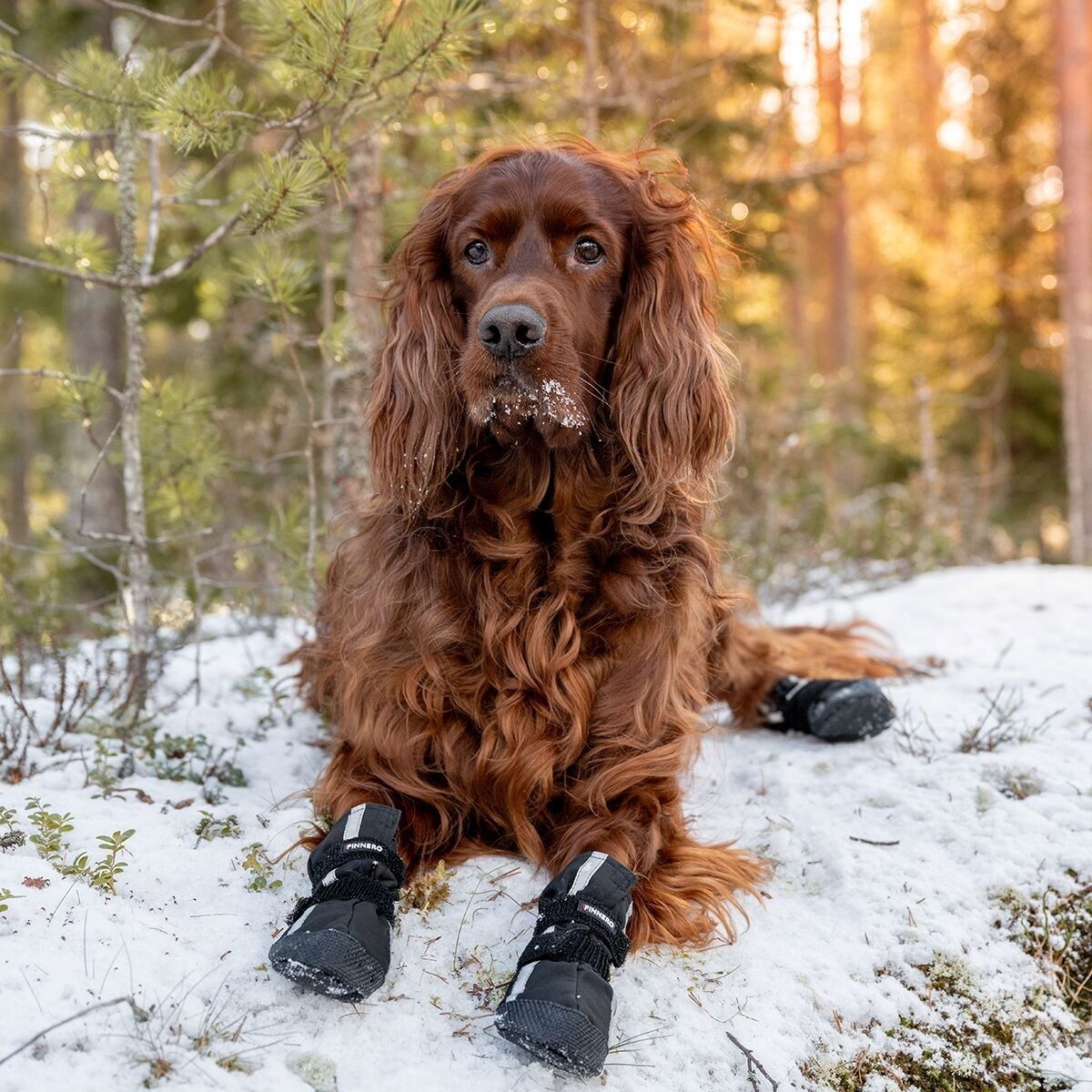 Finnero HALLA Softshell Booties 4pcs, black