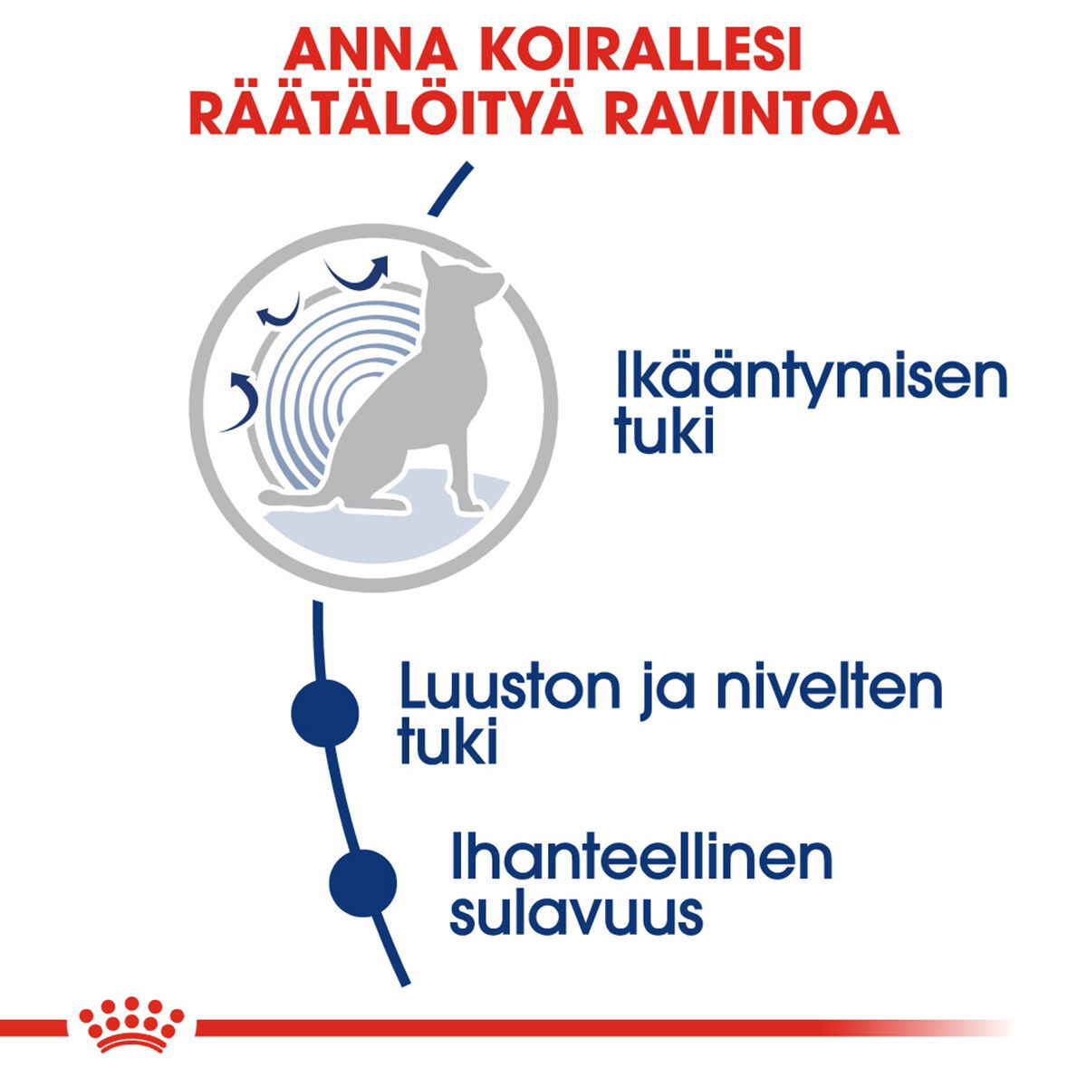 Royal Canin Maxi Ageing 8+ koiran kuivaruoka