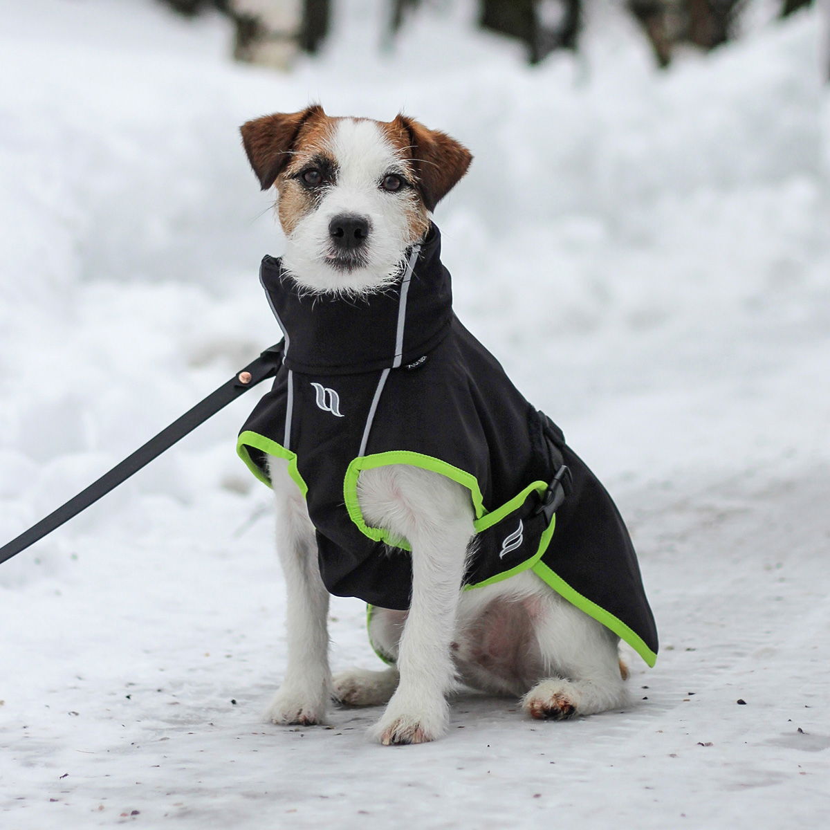 Back on Track Bark - koiran takki, limited edition