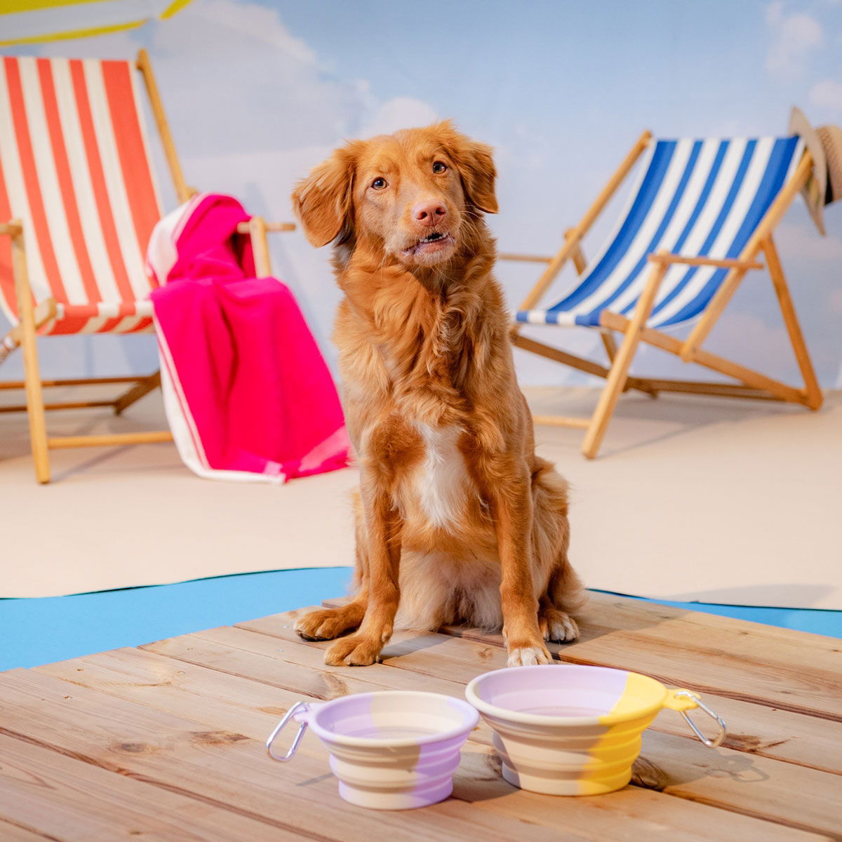 Little&Bigger Voyage kokoonpainuva silikoninen matkakuppi liila-keltainen-beige L