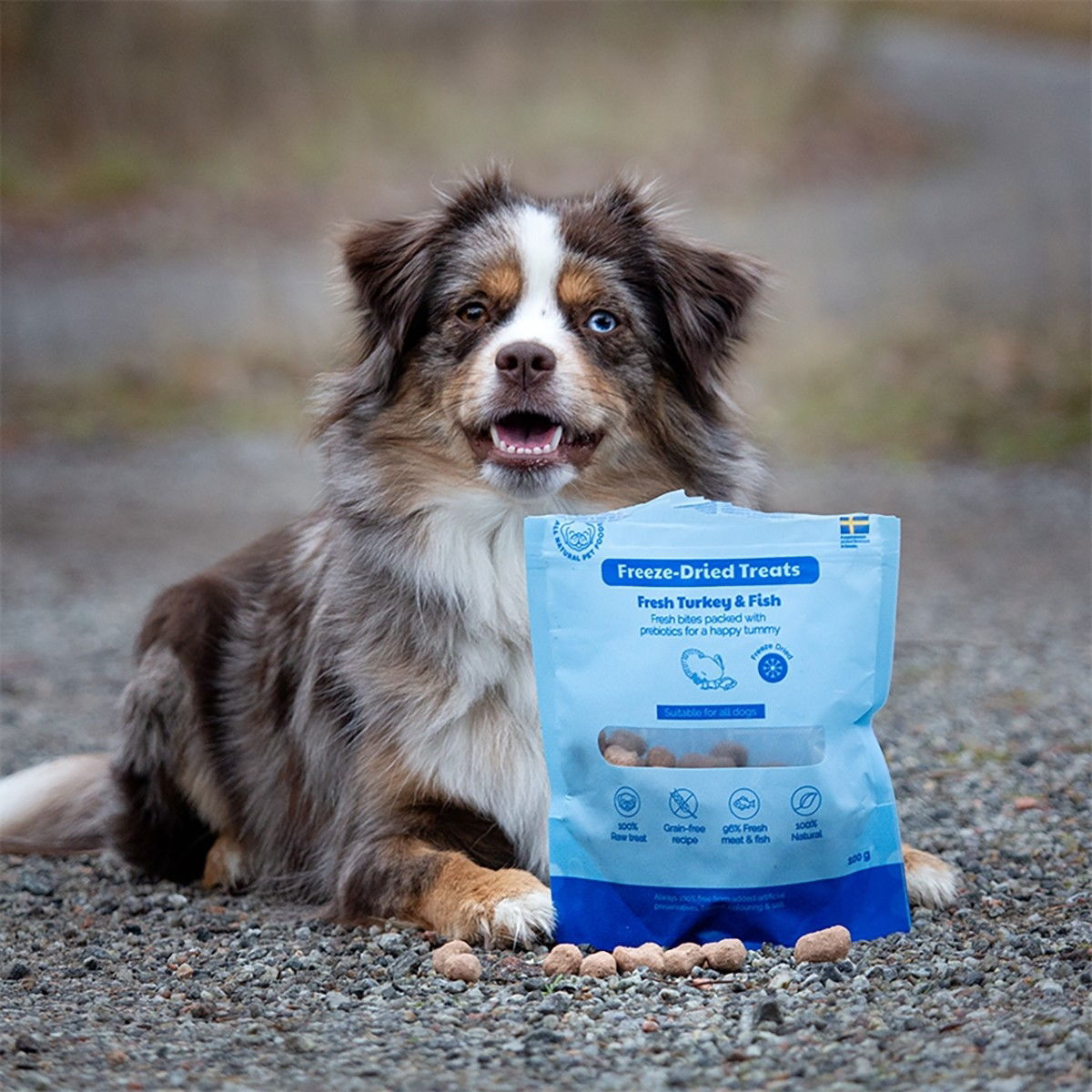 Buddy Freeze-dried Turkey&Fish 100g