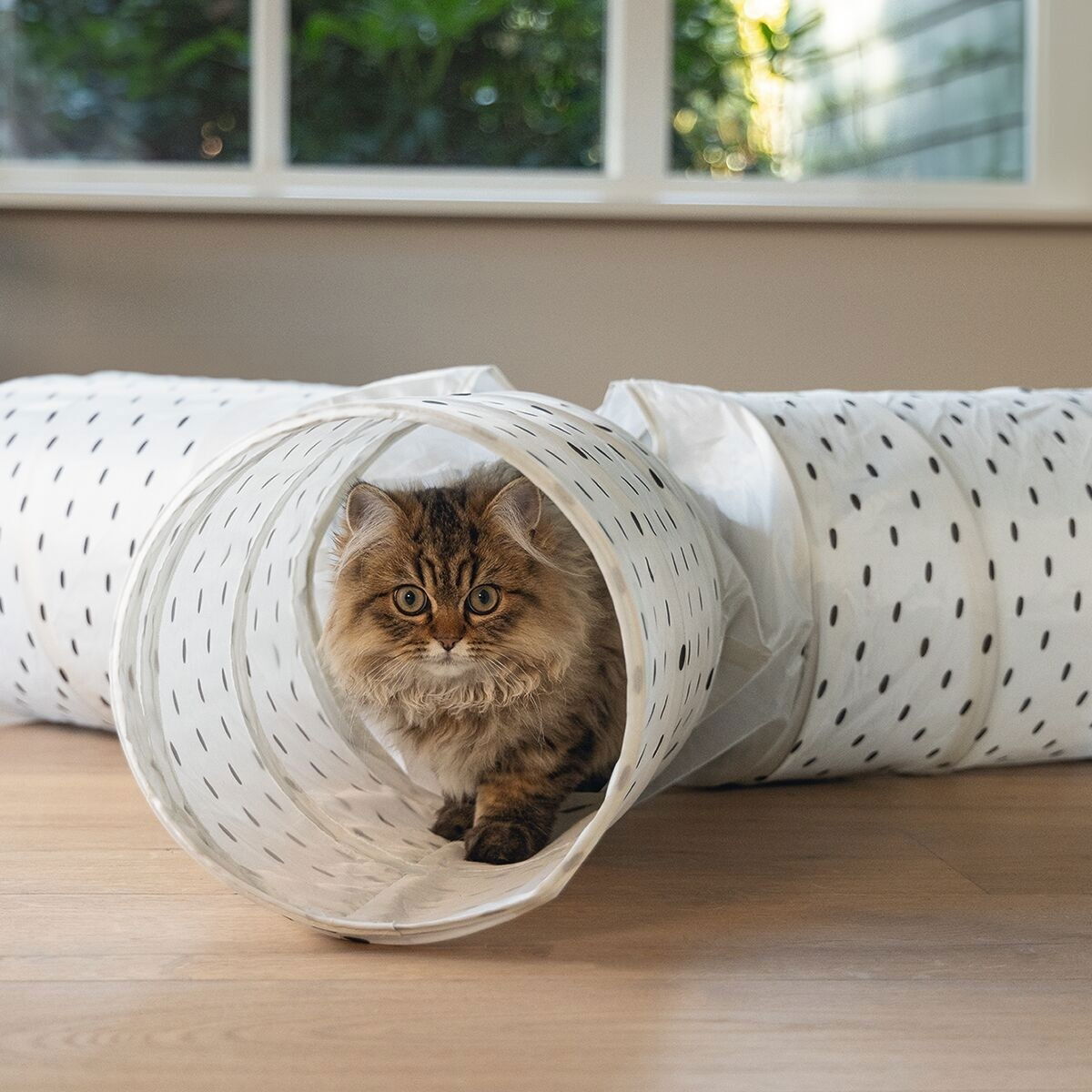 Beeztees Leo Cat tunnel