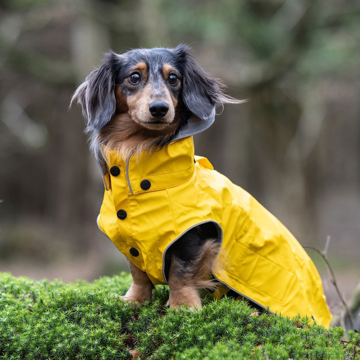 Rukka Stream sadetakki keltainen