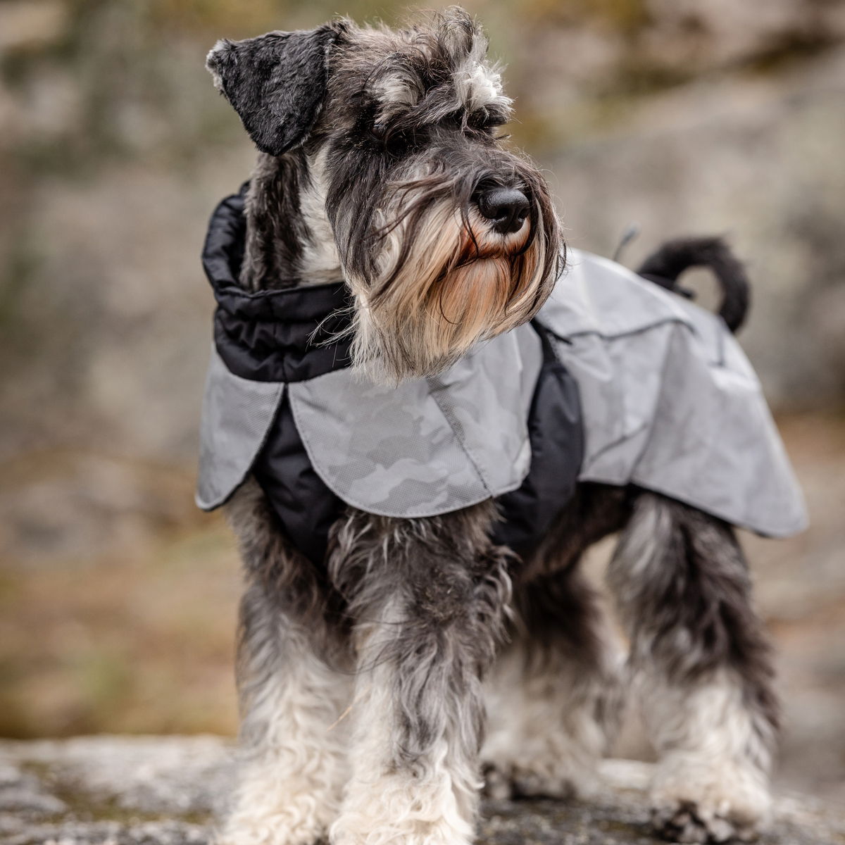 Feel Active Reflective talvitakki