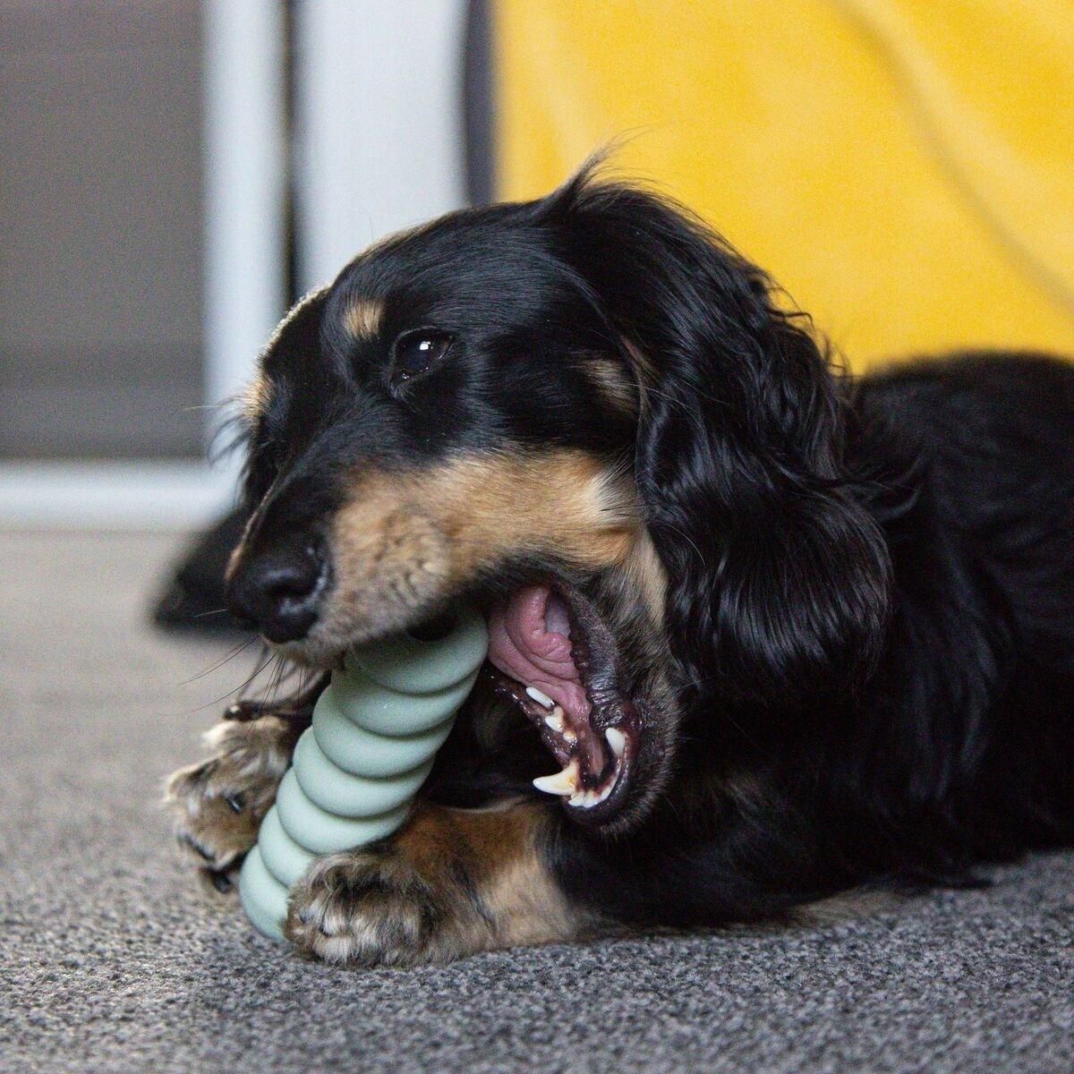 Nylabone Puppy Tactile stick peanut butter S