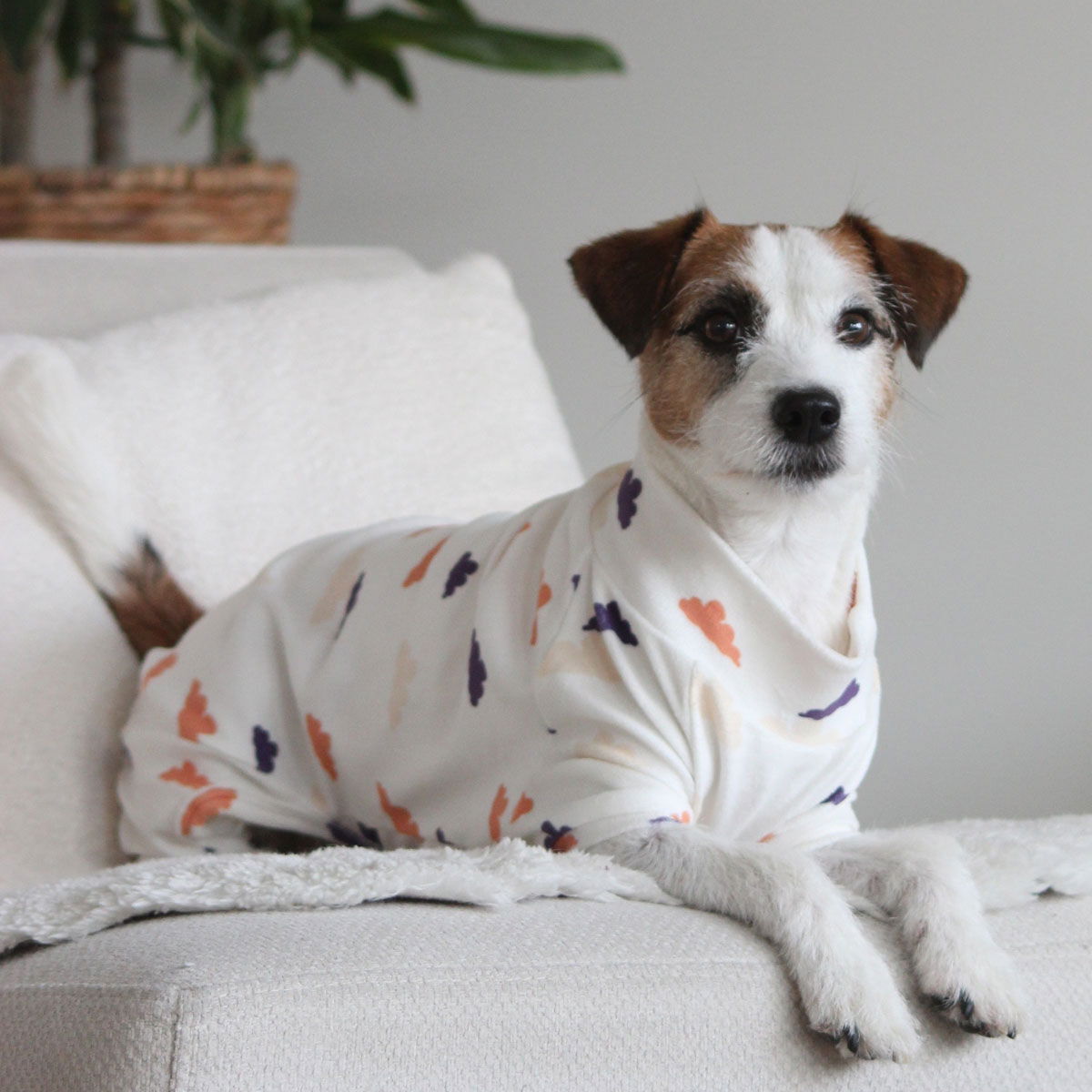 51 Degrees North Sweet Dreams overall, Clouds