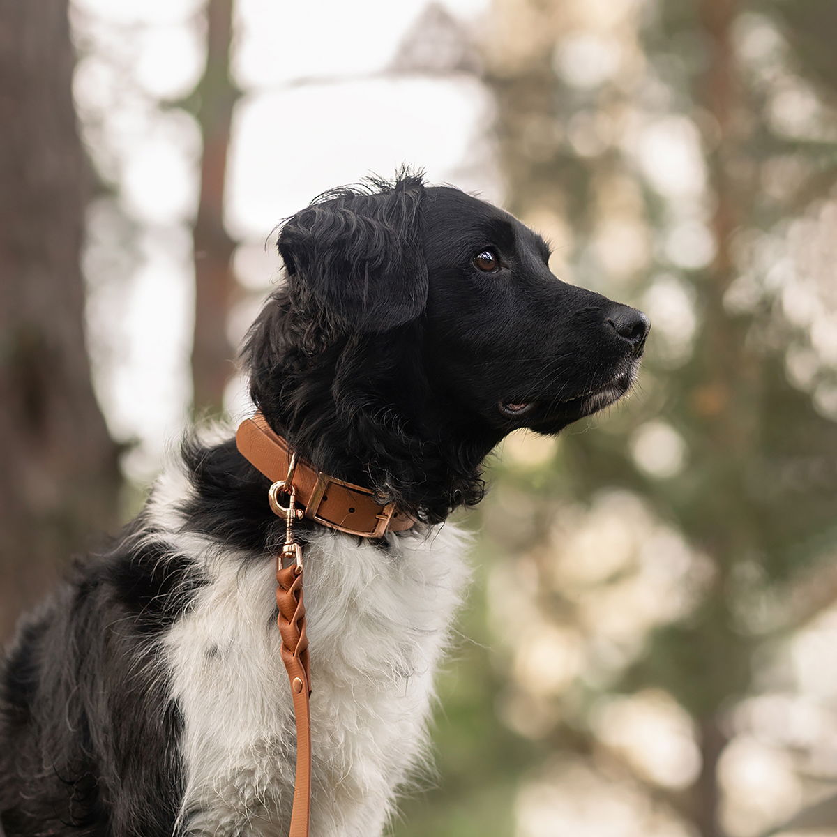 Tyylivoitto Classy collar, cognac