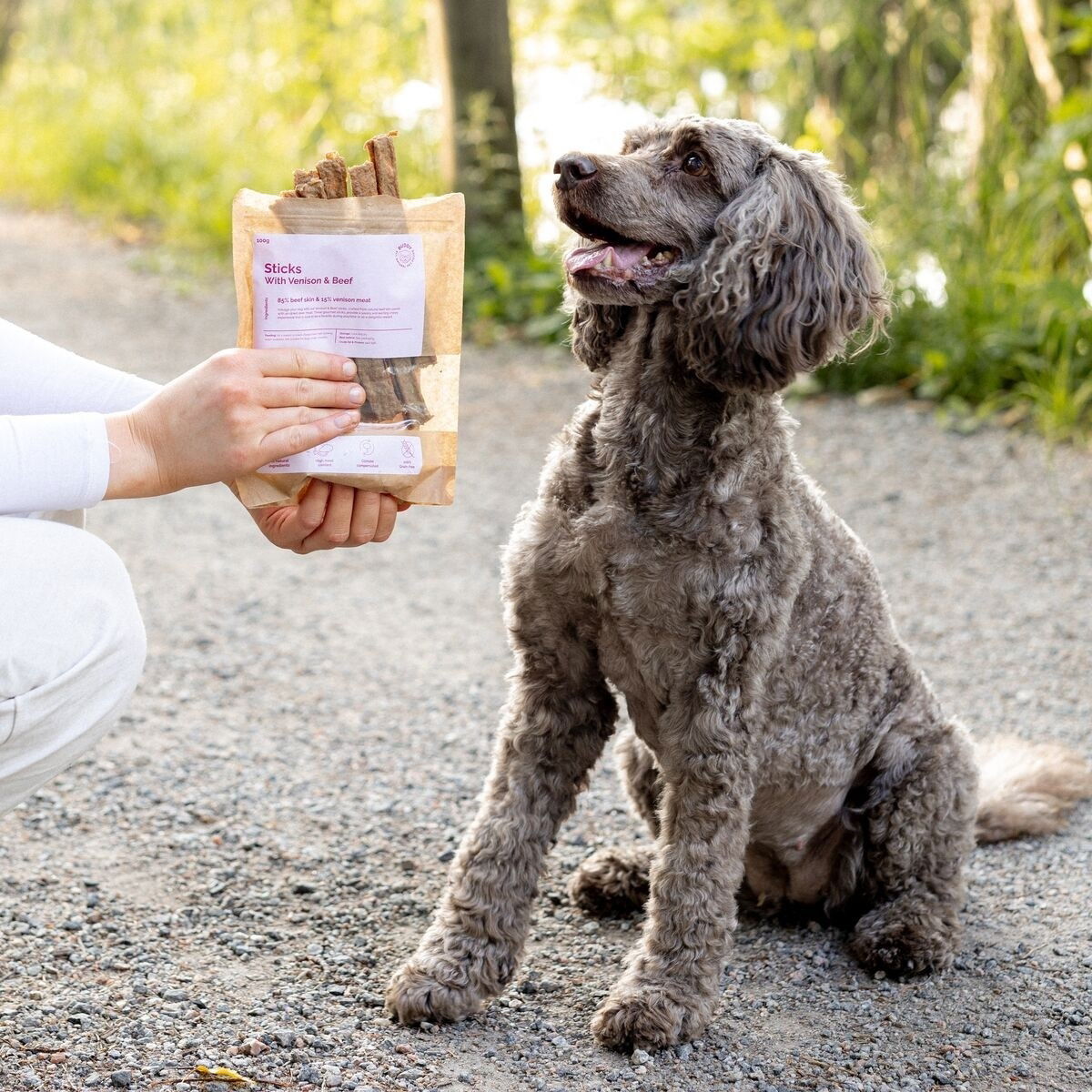 Buddy Dental Chew Venison 100g