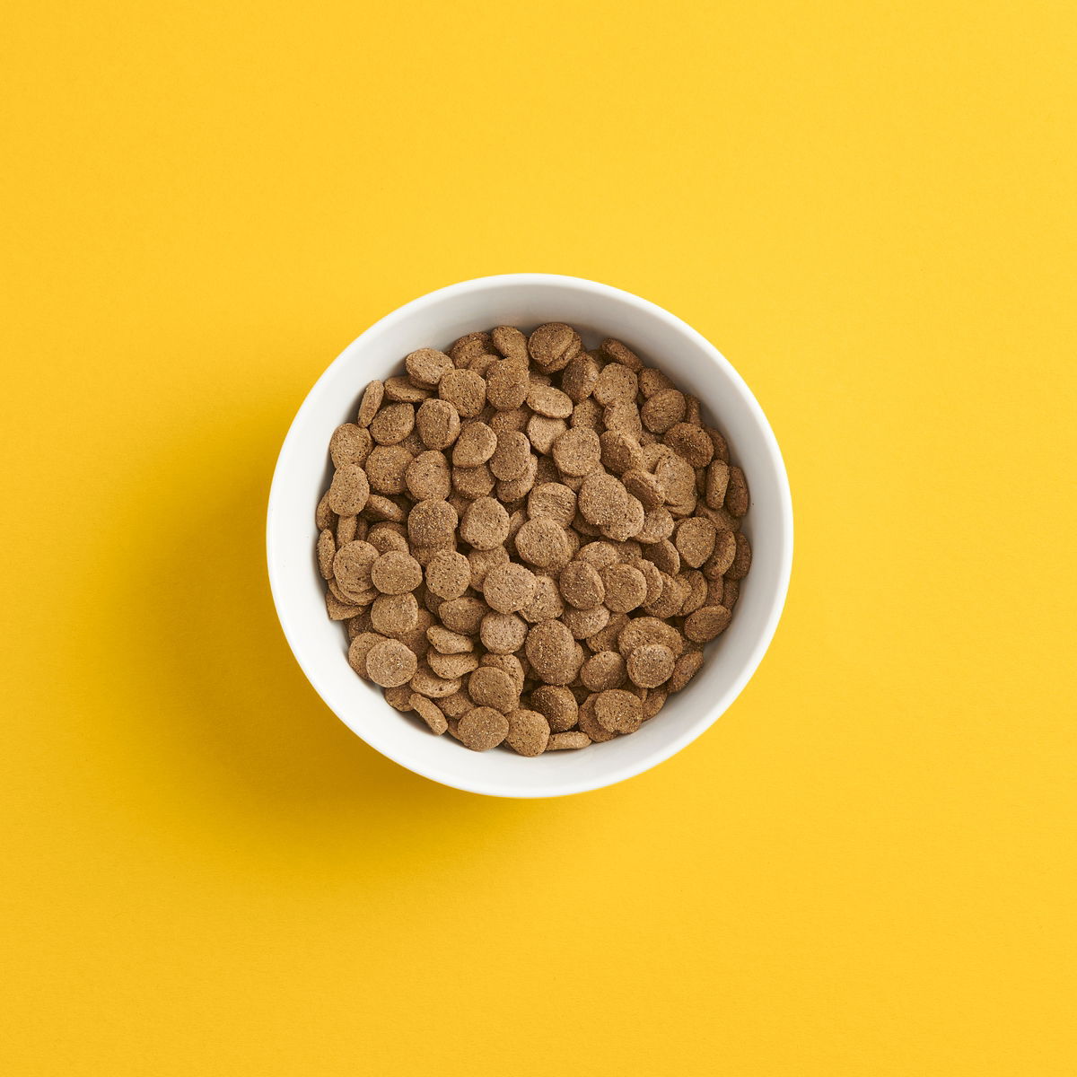 SMAAK Dog Adult Grain Free Pork and Lamb