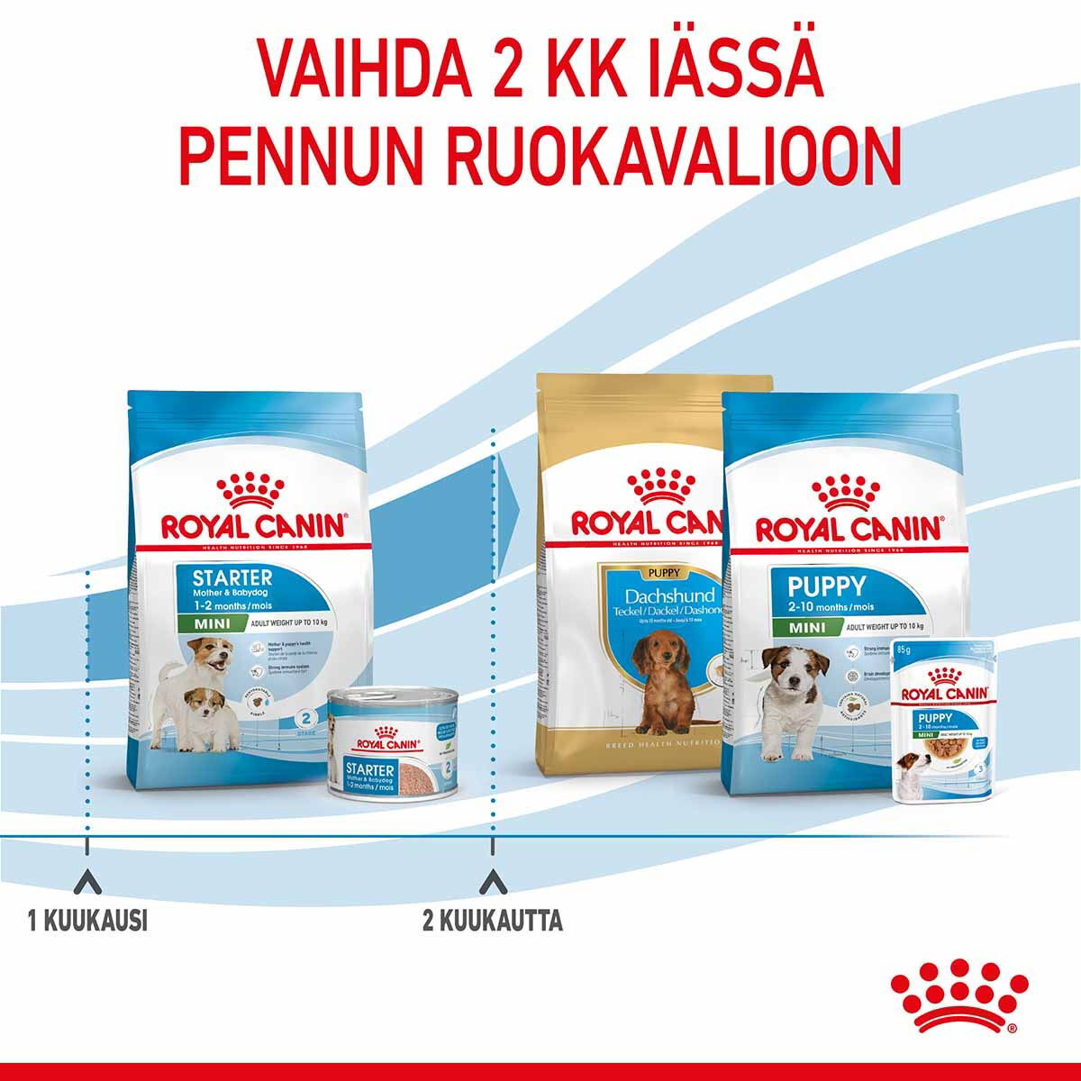 Royal Canin Mini Starter