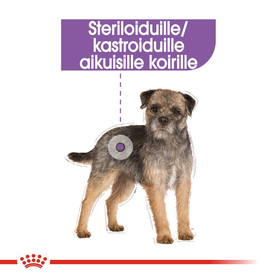 Royal Canin Mini Sterilised