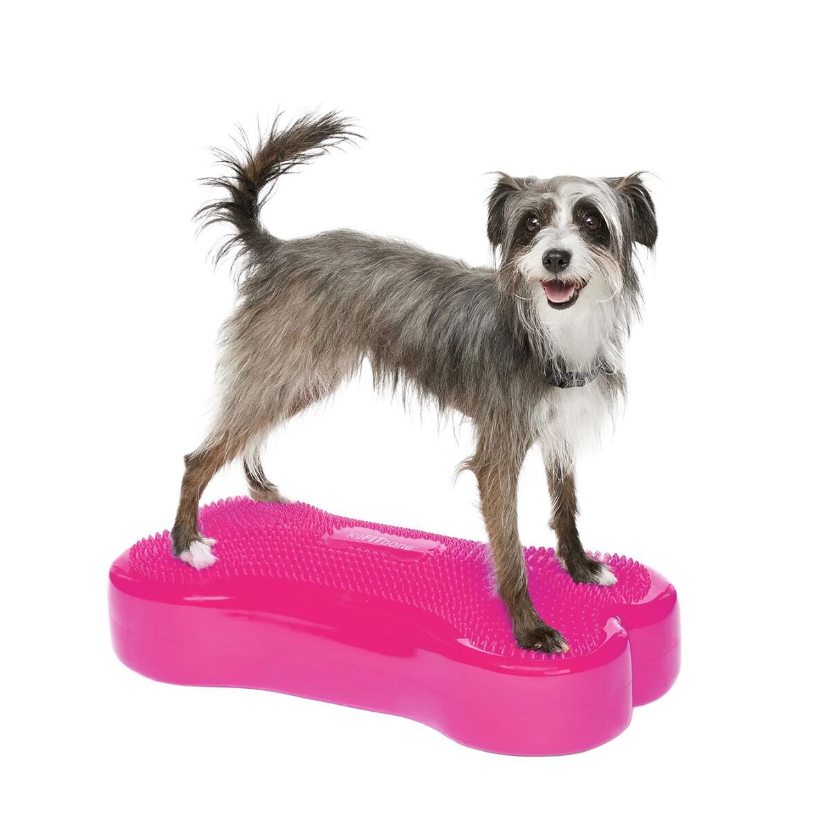 FitPaws K9FitBone