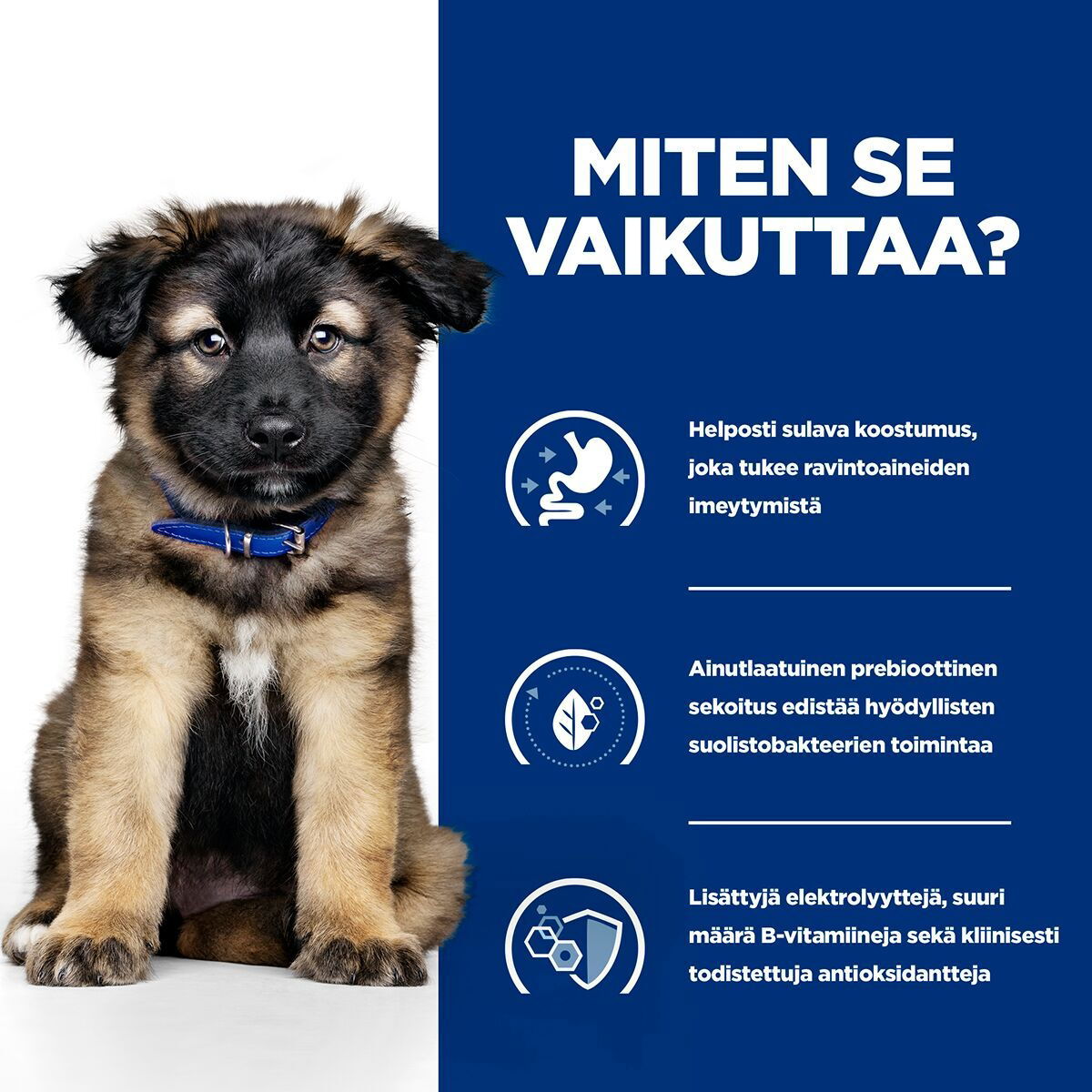 Hill's Prescription Diet Puppy i/d wet