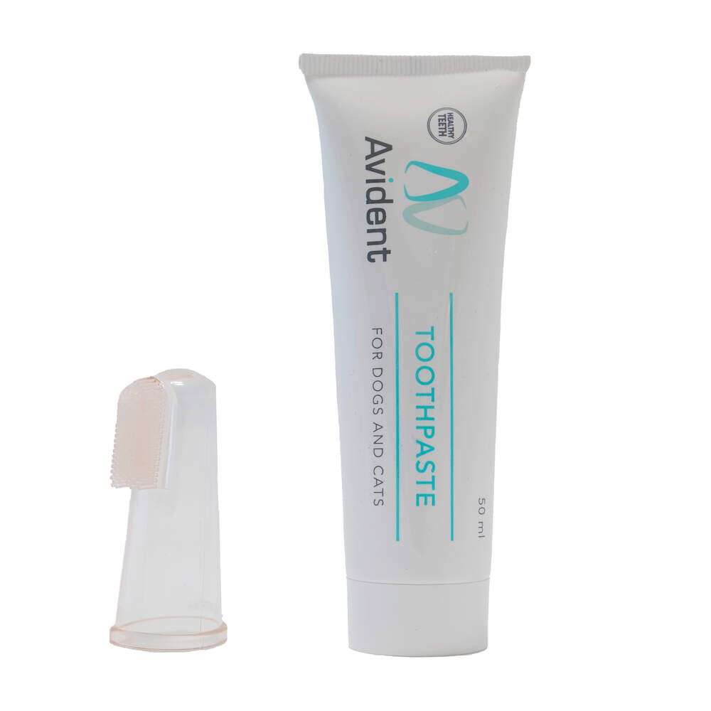 Avital Avident -hammastahna 50 ml ja sormihammasharja