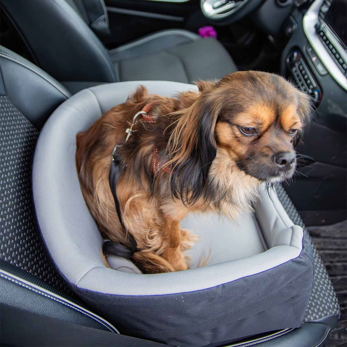 Autoistuin koiralle Trixie