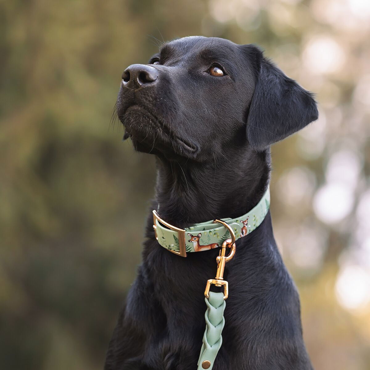 Tyylivoitto Unique collar Forest Whispers