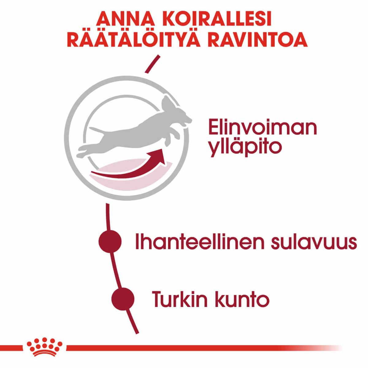 Royal Canin Medium Adult 7+ koiran kuivaruoka