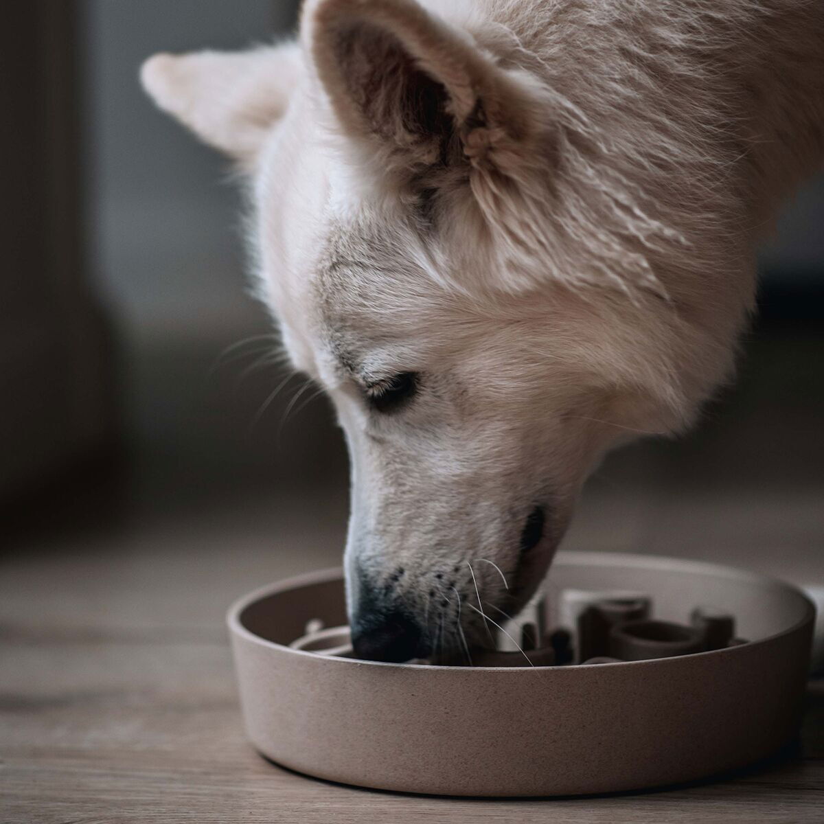 Bamboo Slow feeder District 70