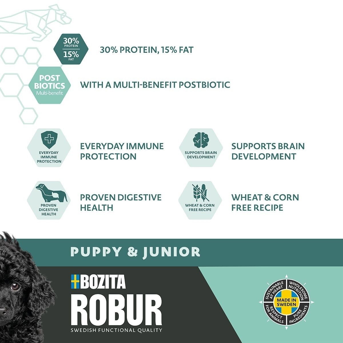 Robur Puppy & Junior XL 12kg