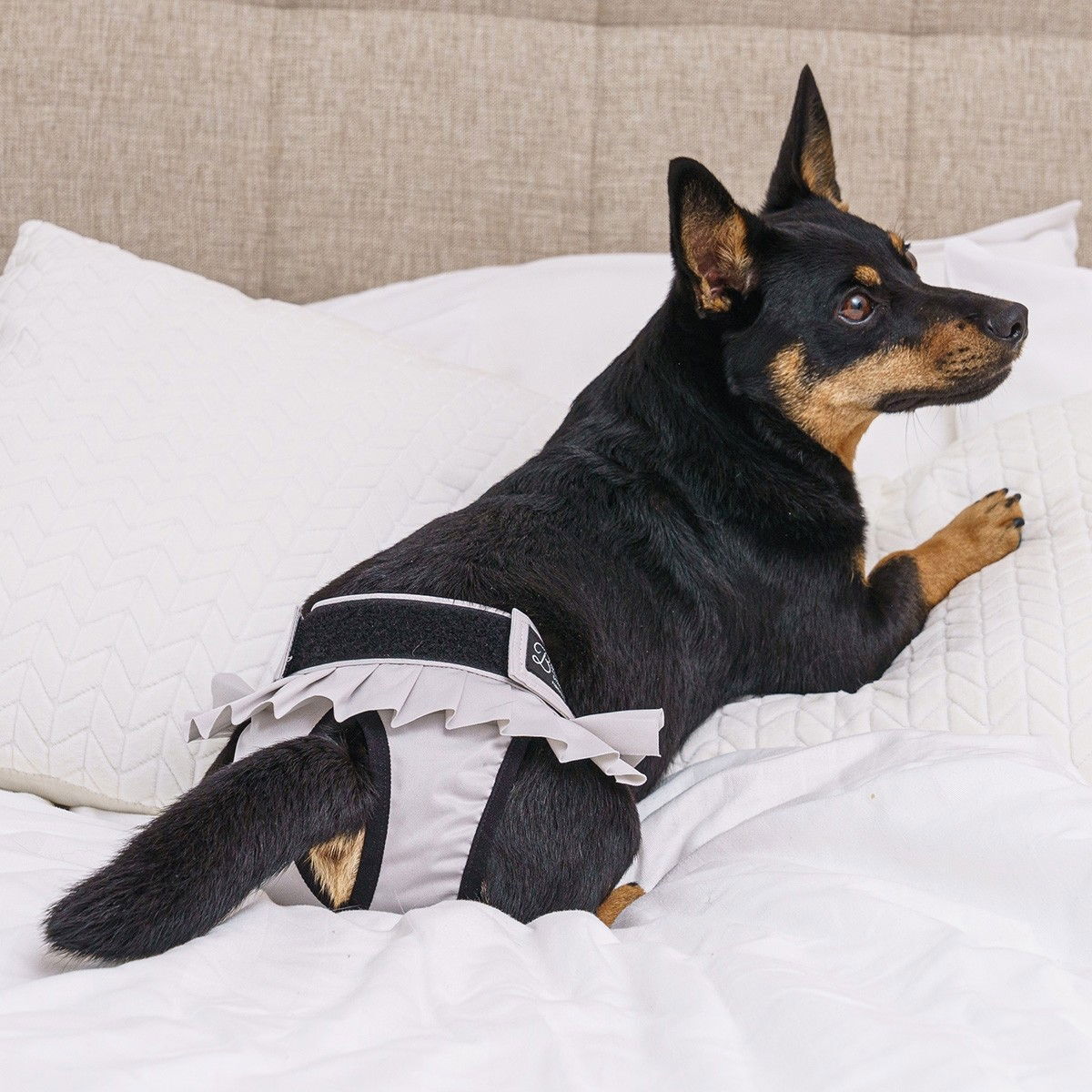 FinNero Ballerina heat pants grey