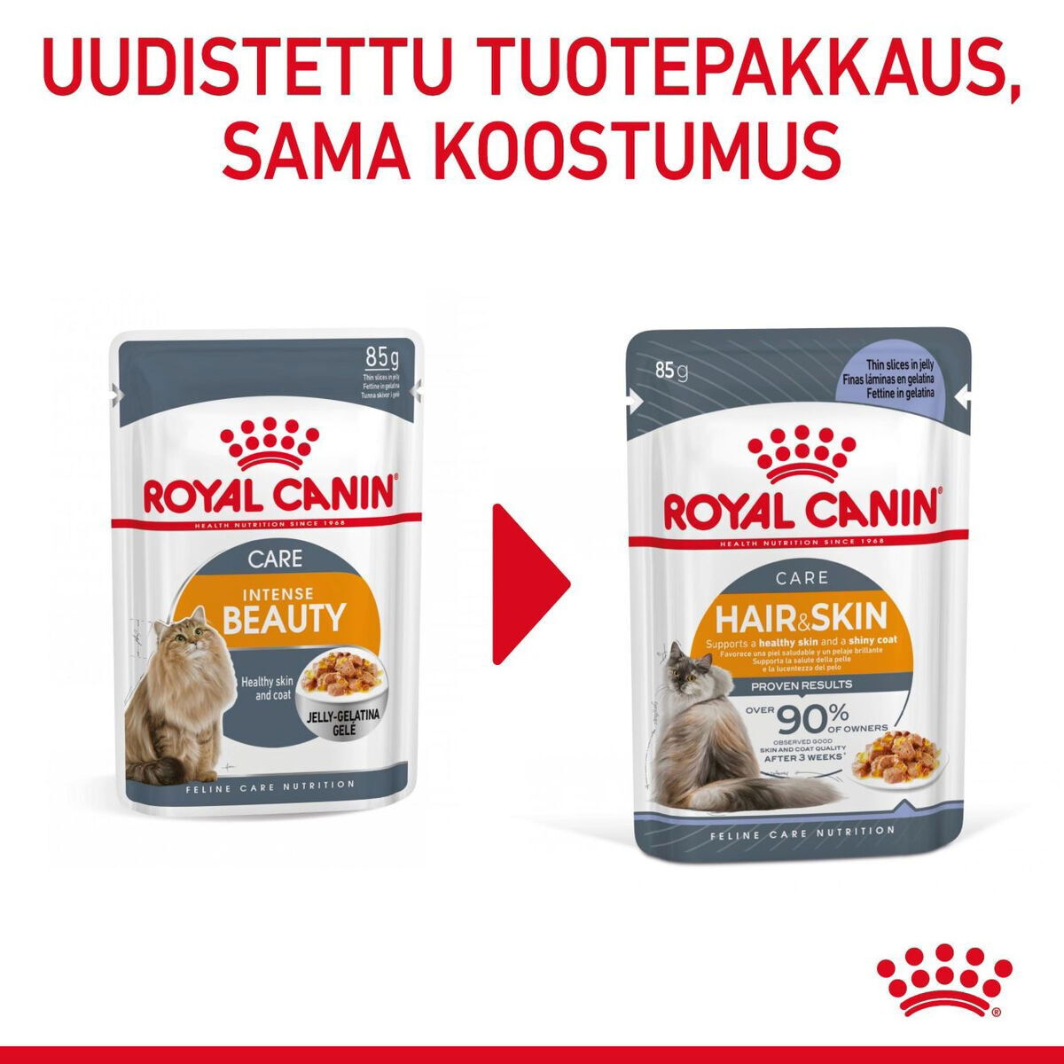 Royal Canin Hair & Skin Care Jelly Adult kissan märkäruoka