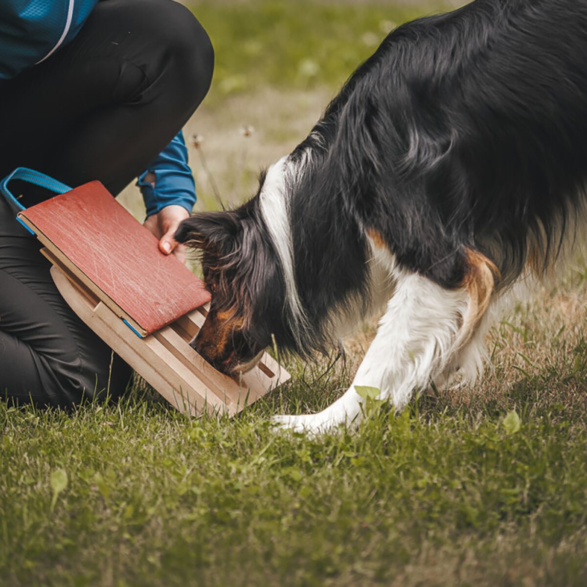 Loype Mani-Pedi Dog Scratcher