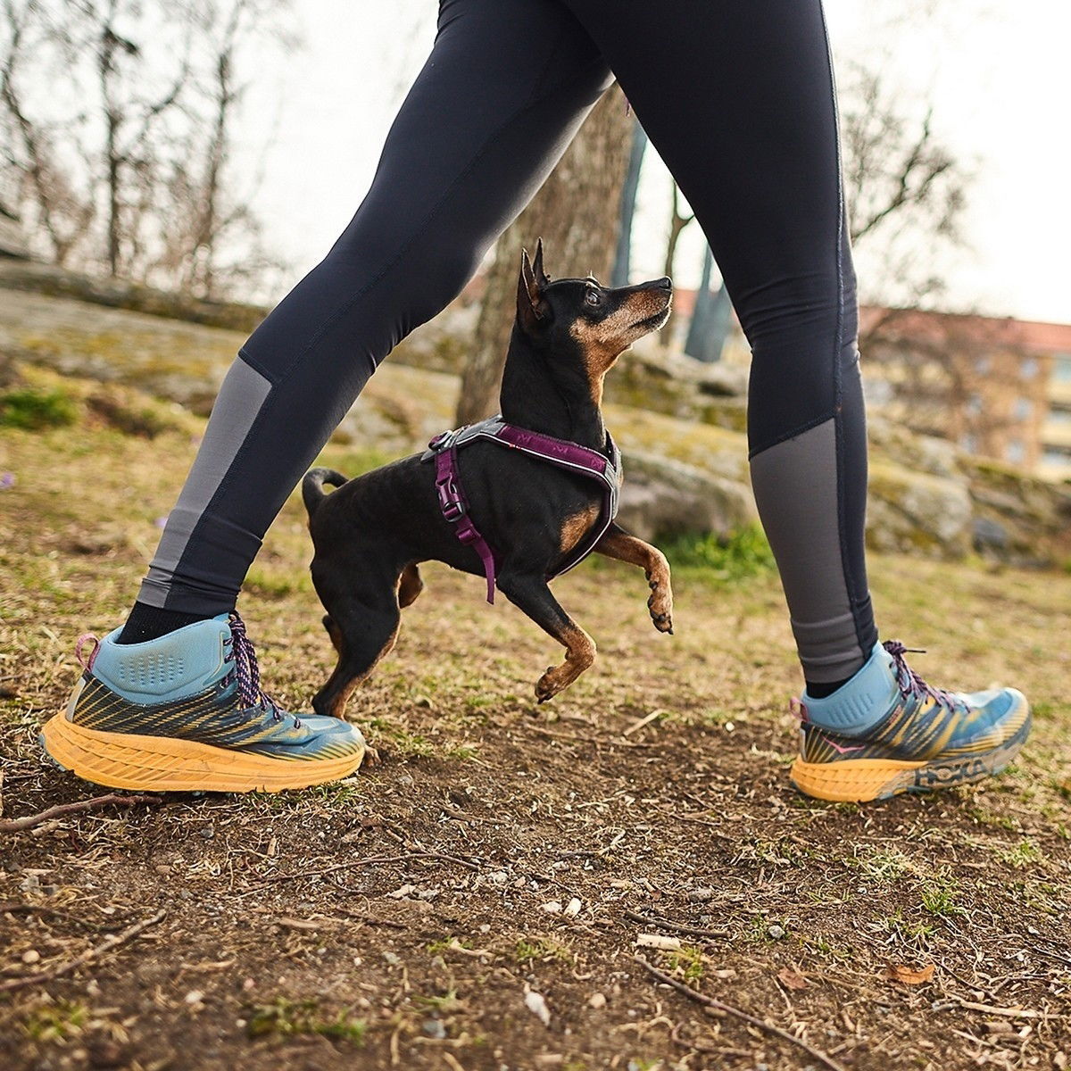 Non-Stop Line valjas  5.0 purple