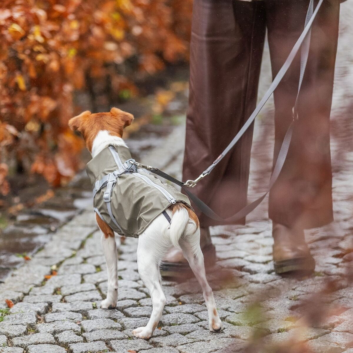 Trixie Pontis rain coat with harness, olive green