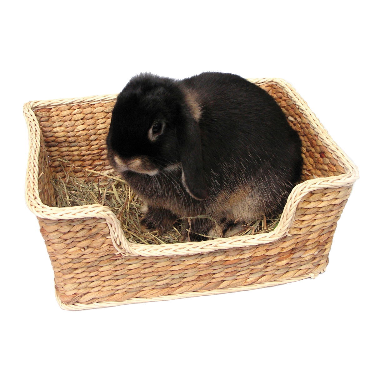 Rosewood Chill 'n' Snooze peti L