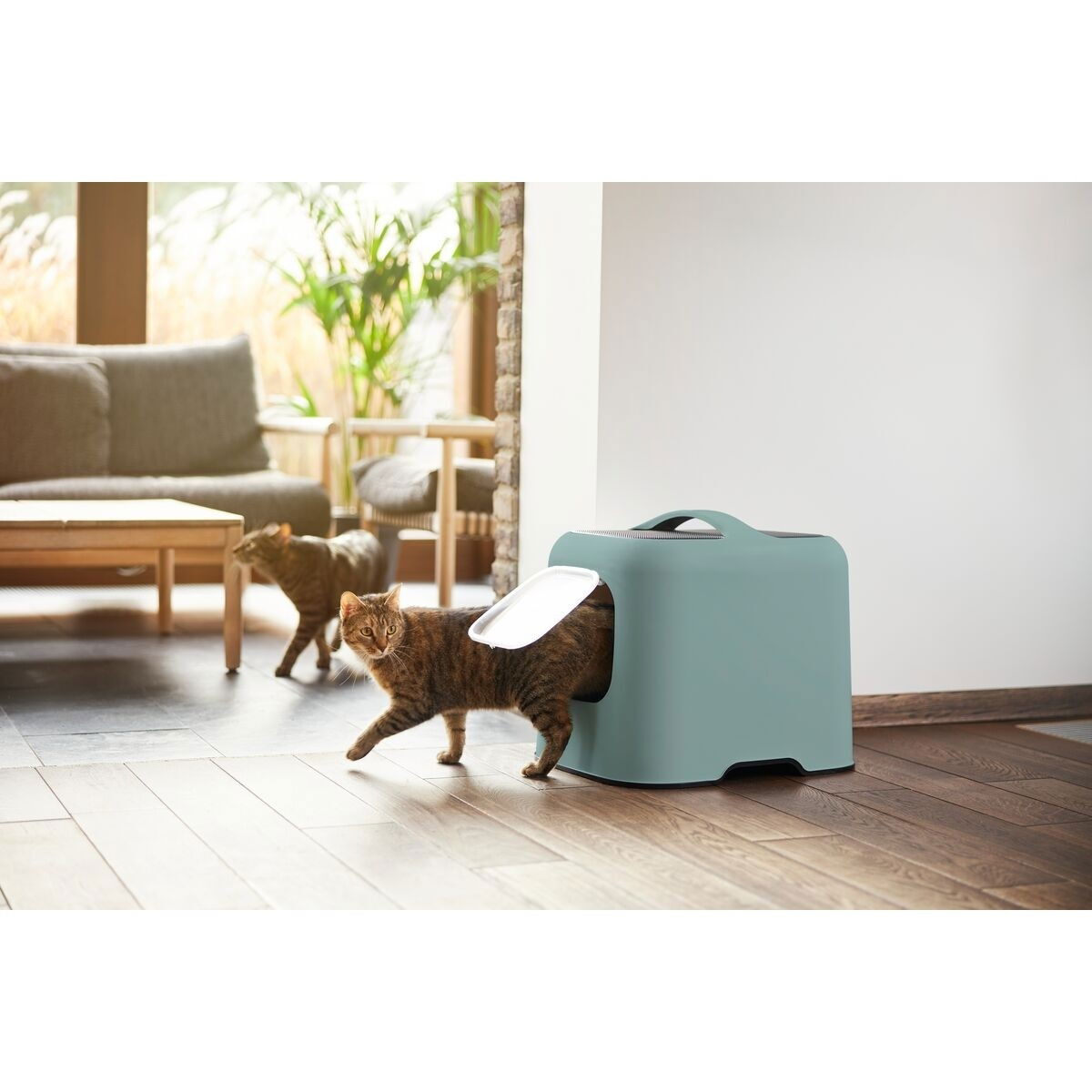 MyPet Cat Toilet Biala