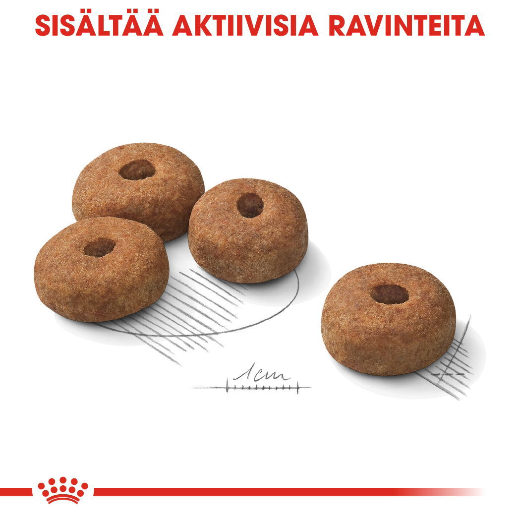 Royal Canin Sterilised Maxi Adult koiran kuivaruoka