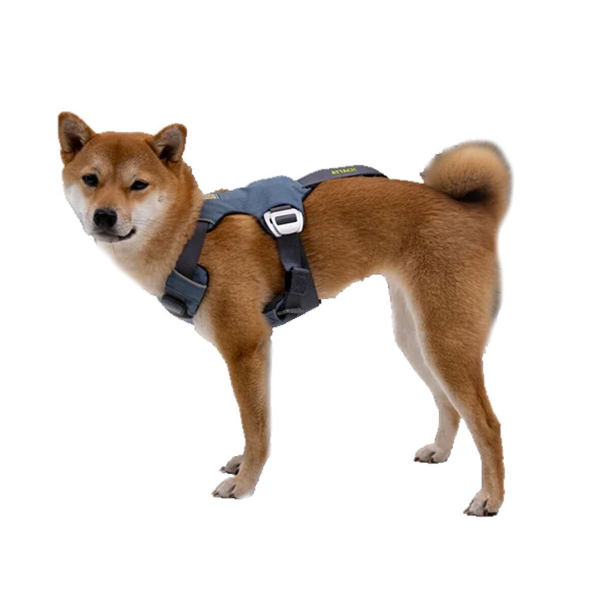 Ruffwear Load Up Harness Slate Blue