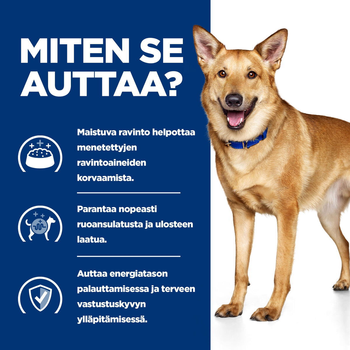 Hill's PD Canine i/d Turkey 360g