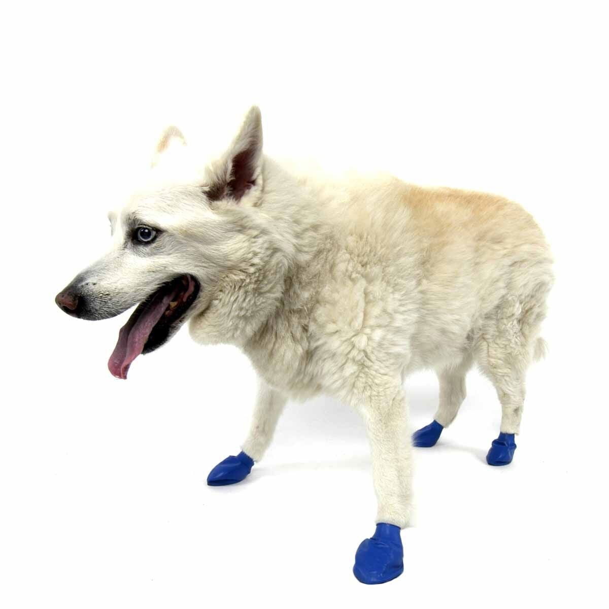 PawZ dog rubber boots color 12pcs