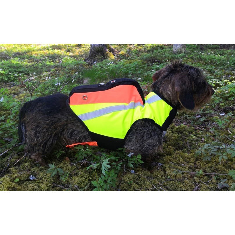 GPS-huomioliivi Inari, Kardog