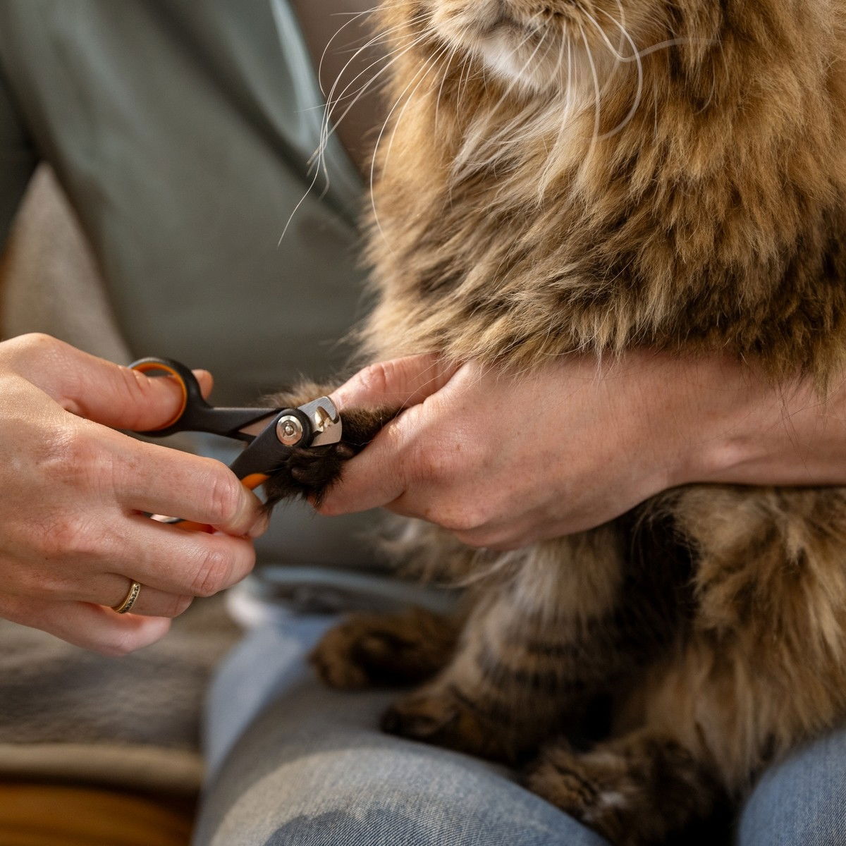 Fiskars kynsileikkurit pieni