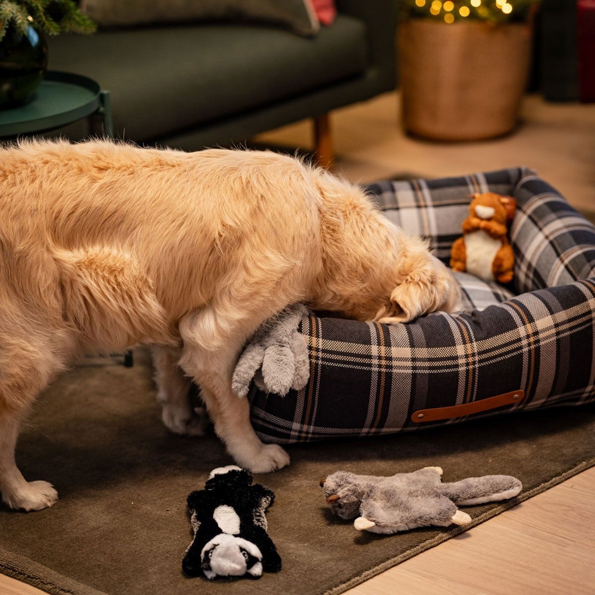 Basic Premium Swift koiranpeti tumman harmaa tartan