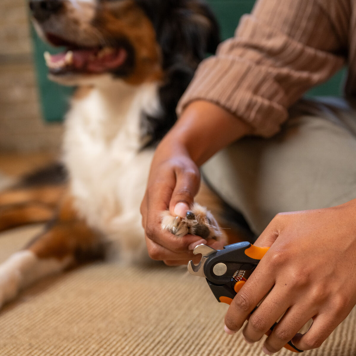 Fiskars kynsileikkurit suuri