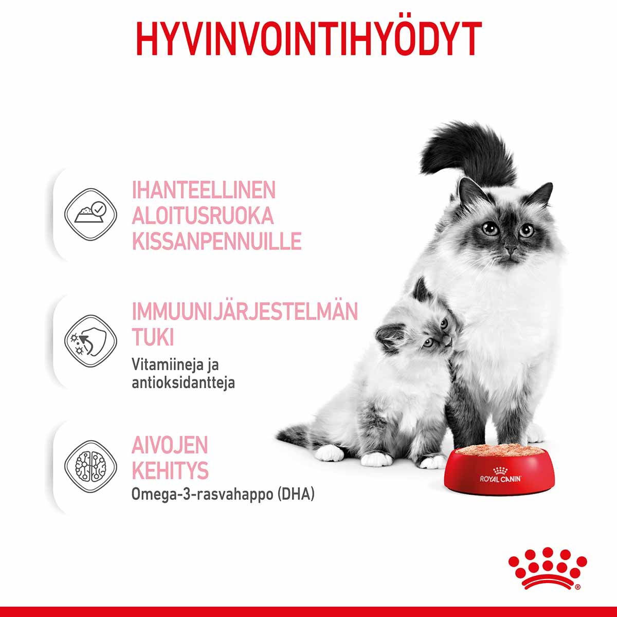 Royal Canin Mother & Babycat kissan ja kissanpennun märkäruoka