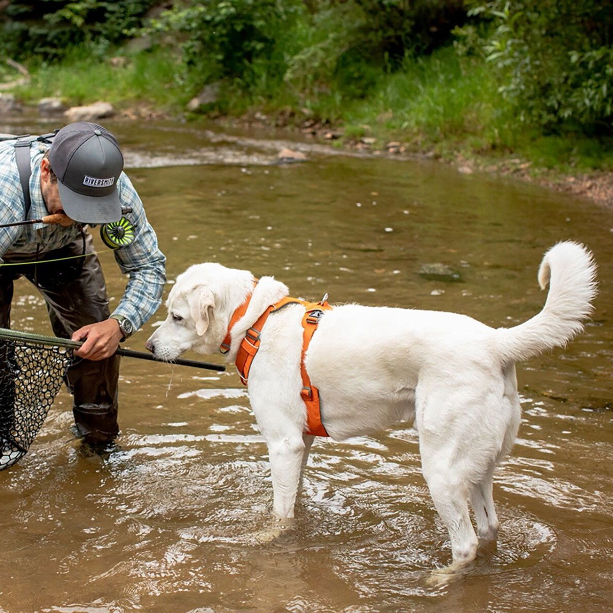 Ruffwear Front Range valjas Blaze Orange