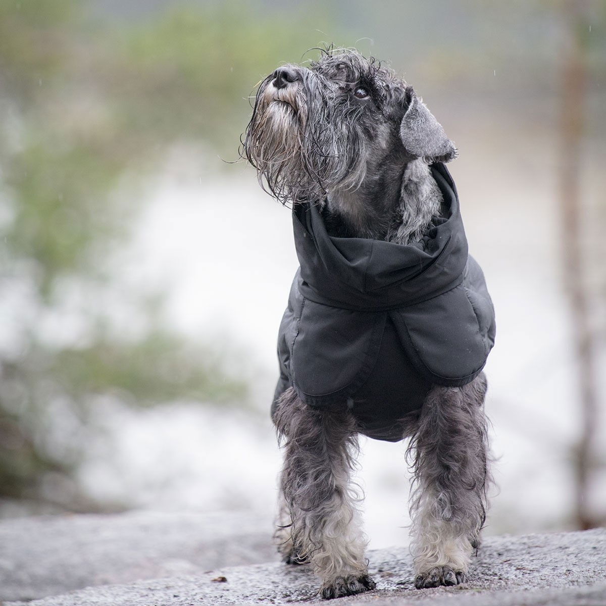 Feel Active Haga parka takki musta