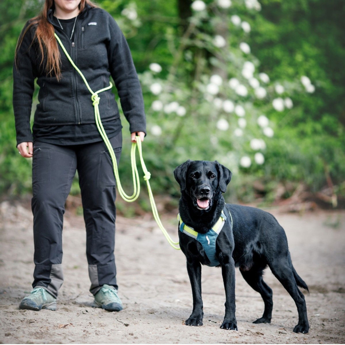 Woolly Wolf Long Rope Leash, Lime 8mmx6m