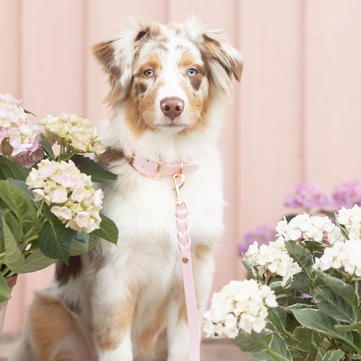 Tyylivoitto Braid leash, baby pink