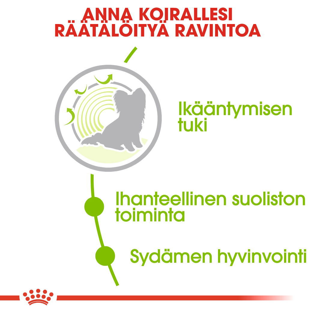 Royal Canin X-small Ageing 12+ koiran kuivaruoka