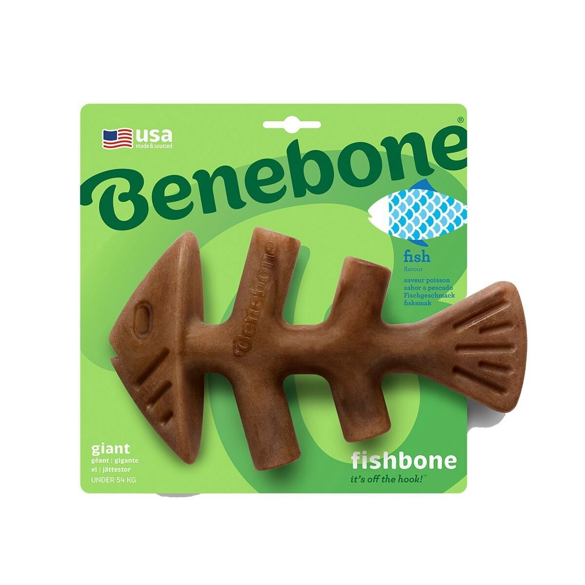 BB Fishbone