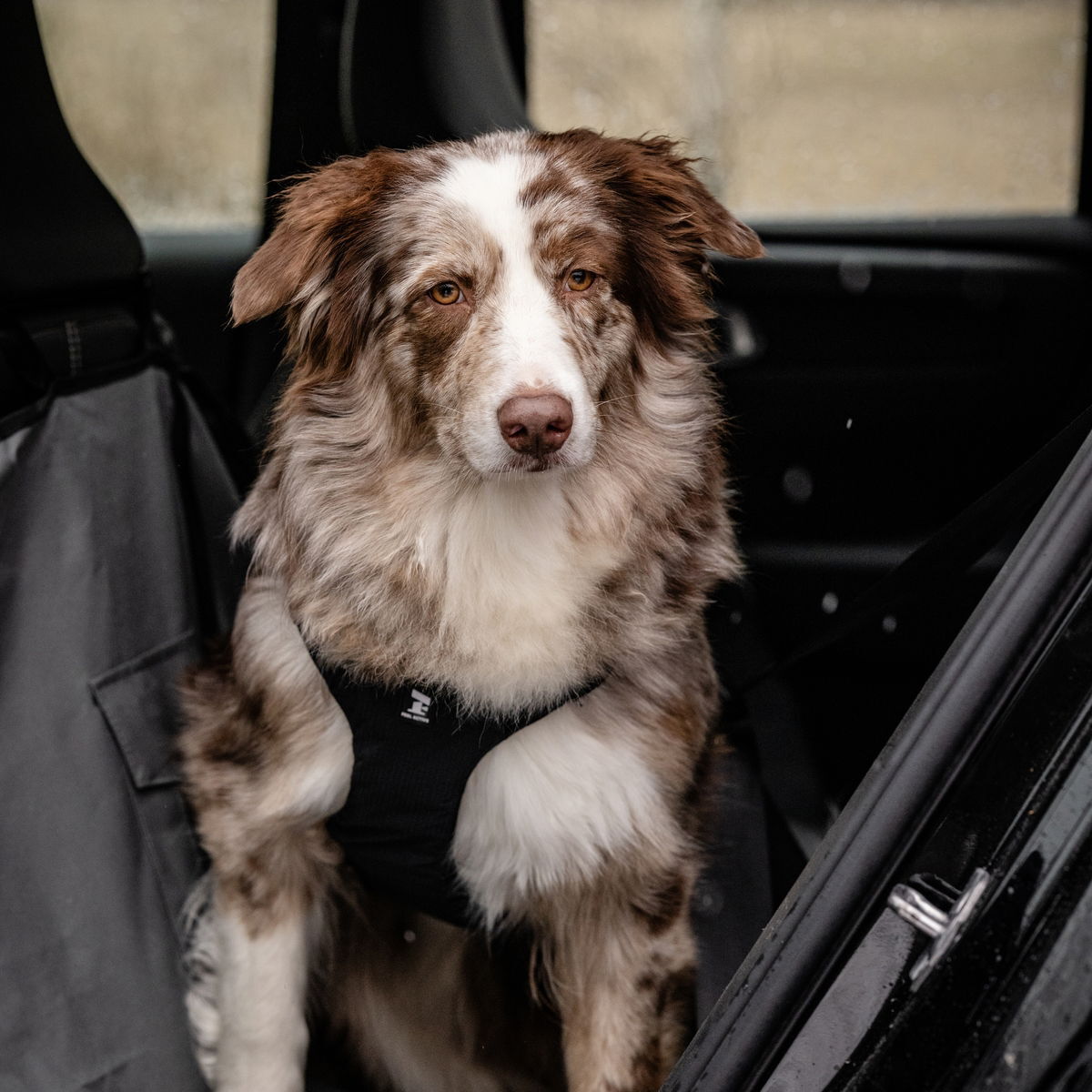 Feel Active autovaljas black