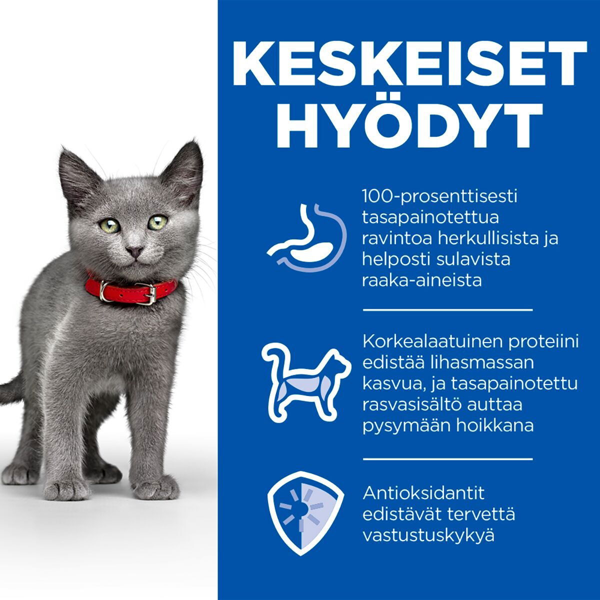 Hill's Science Plan Sterilised Kitten Chicken 12x85g