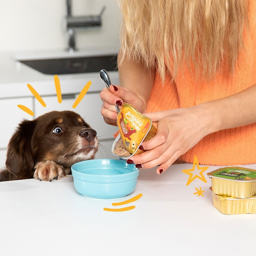 Edgard & Cooper Dog Multipac 6x400g