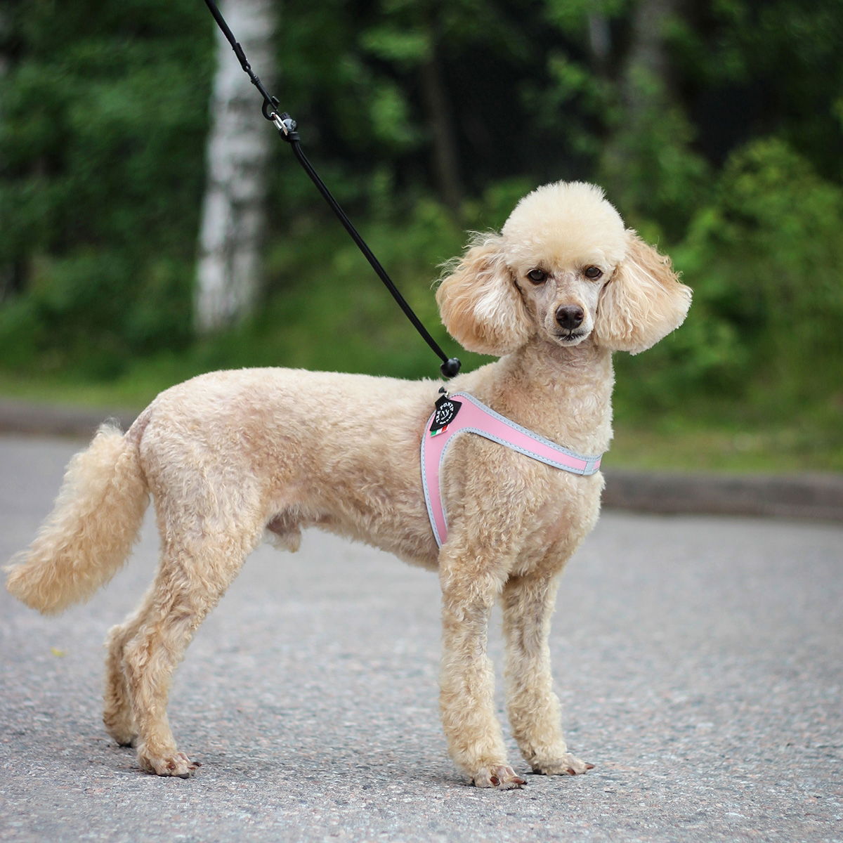 Tre Ponti Sele Basic Rosa nr.1,5