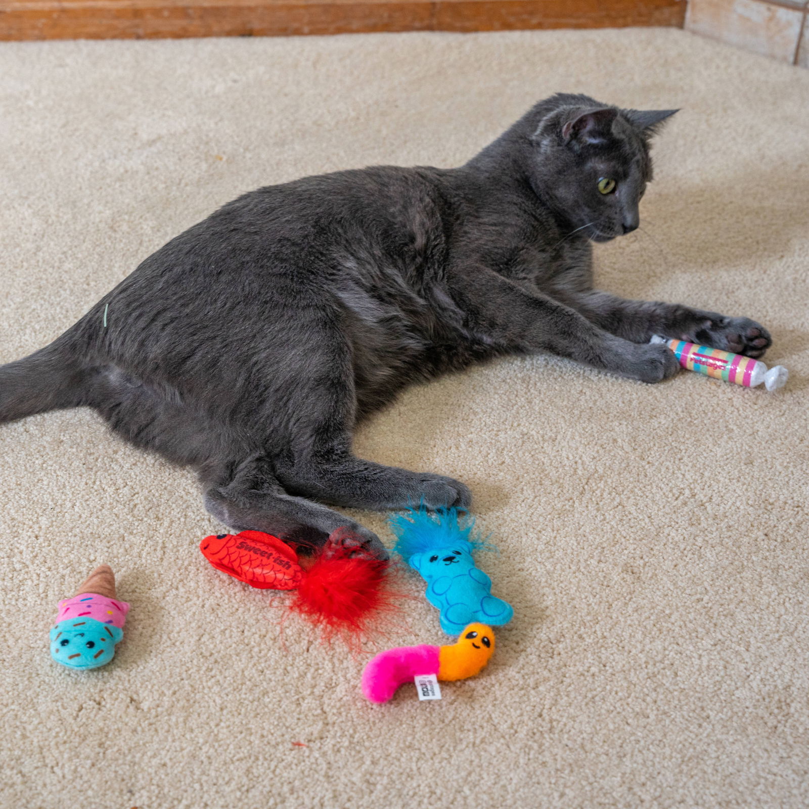 Catstages Kitty Sweet Treats kissanlelut 6-pack